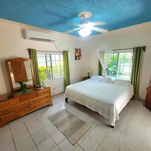 Guest house Green's Palace Jamaica